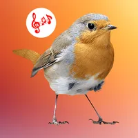 Bird Calls, Sounds & Ringtones icon