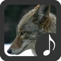 Coyote Sounds icon