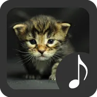 Kitten Sounds icon