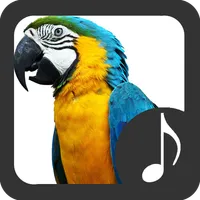 Parrot Sounds icon