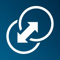Adaptation Financial icon