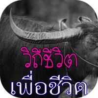 วิถีเพลงเพื่อชีวิต icon