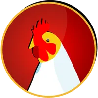 Bangladesh Poultry- Firm, Chic icon