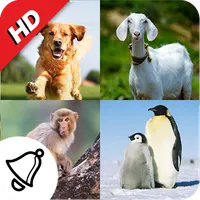 150 Animal Ringtones icon