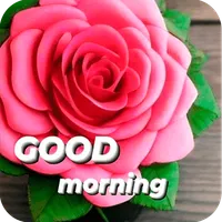 Good Morning Rose icon