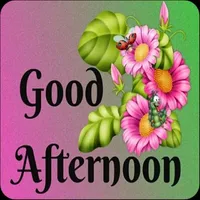 Good Afternoon Wishes icon