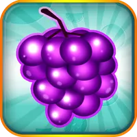 Fruit Blitz icon