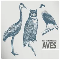 Guia de Identificacion de Aves icon