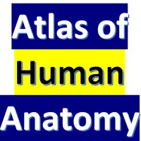 Human Anatomy icon