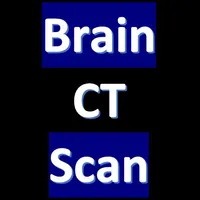 CT Scan of Brain icon