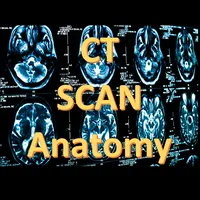 CT Scan Anatomy icon
