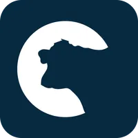 Rumintech icon