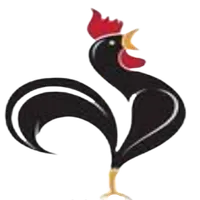 RYTGG FOODS icon