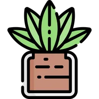 Houseplant Guide - Propagation icon
