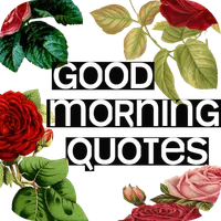 Good Morning Quotes icon