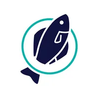 CatchCam icon