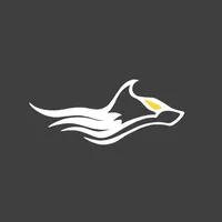 AlphaSwim icon