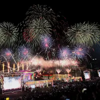 Firework Chinese New Year Wall icon