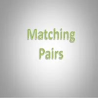 Matching Pairs icon