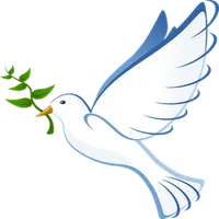 Peace - سلام icon