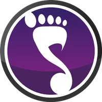 salsero icon