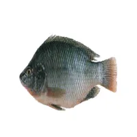 Samaki Bora icon