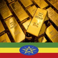Gold price in Ethiopia Today icon