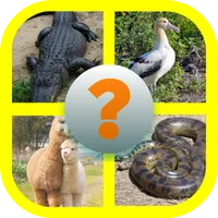Learn English (Animals) icon