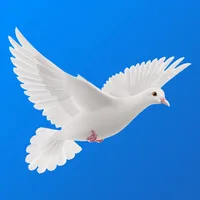 Şans Oyunları icon