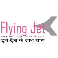 Flying Jet icon