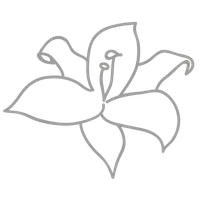 SchillerAPPotheke icon