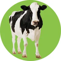 Agriculture Terms  (Farming) icon