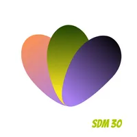SDM 30 icon