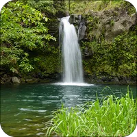 Real Waterfall Live Wallpaper icon