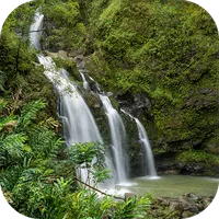 Tropical Waterfall Live Wallpa icon