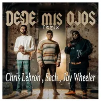 Sech -Desde Mis Ojos Remix. icon