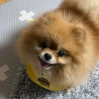 두 번째 어플리케이션 icon
