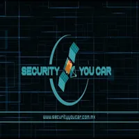 Security your car icon