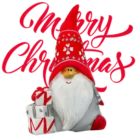 Christmas Santa Free GIF Live  icon