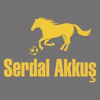 SerdalAkkus icon