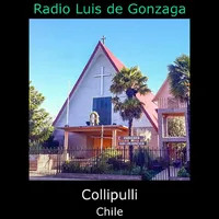 Radio San Luis Gonzaga icon