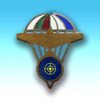 Target Skydiving icon