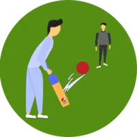 Cricket Summer Game icon