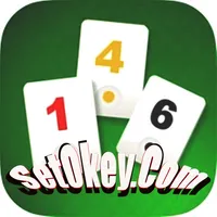 SetOkey.Com Canlı Okey Oyna icon