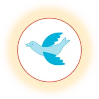 SKS IT FIRM icon