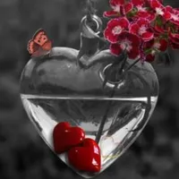 Heart Wallpapers HD icon