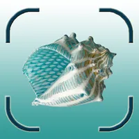 Shell identifier icon