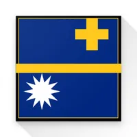 Beginner Nauruan icon