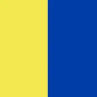 Kerala Blasters Wallpapers HD icon