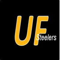 UltimateFan: Pittsburgh Steele icon